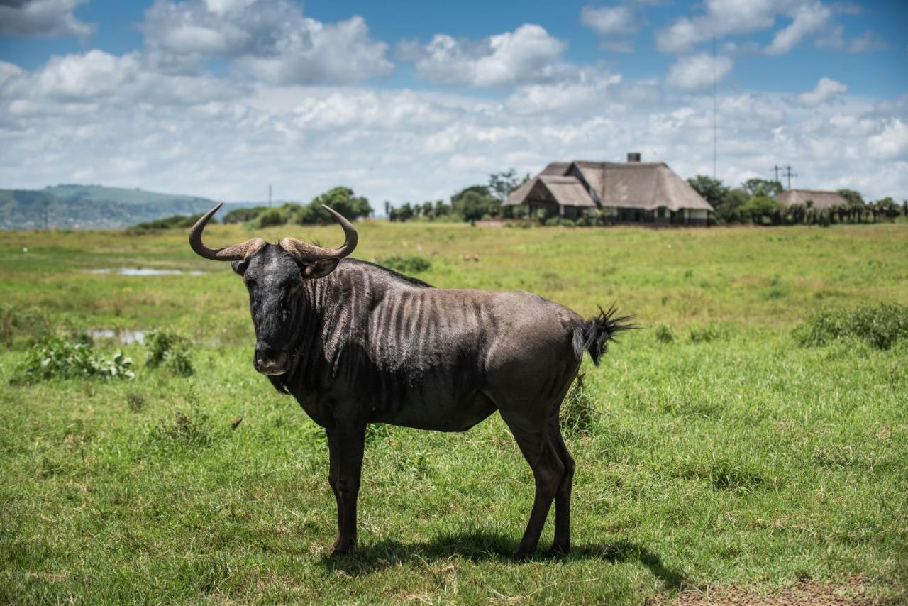 Tala Collection Game Reserve Silverton 外观 照片