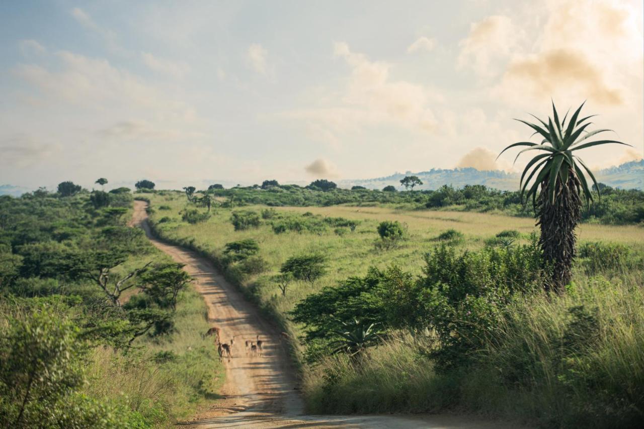 Tala Collection Game Reserve Silverton 外观 照片