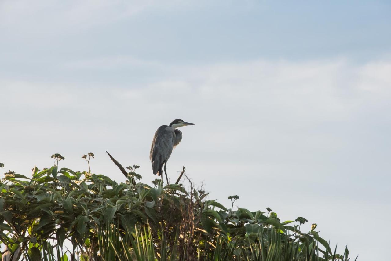 Tala Collection Game Reserve Silverton 外观 照片