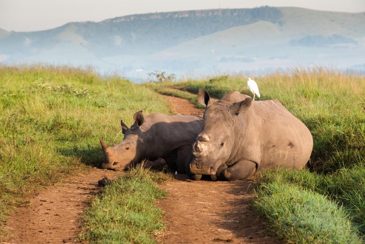 Tala Collection Game Reserve Silverton 外观 照片